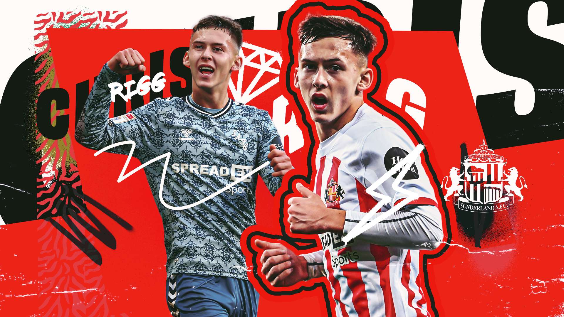 不同的命运 不同的命运